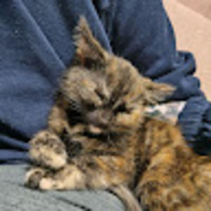 Meet your Posher, Tammy